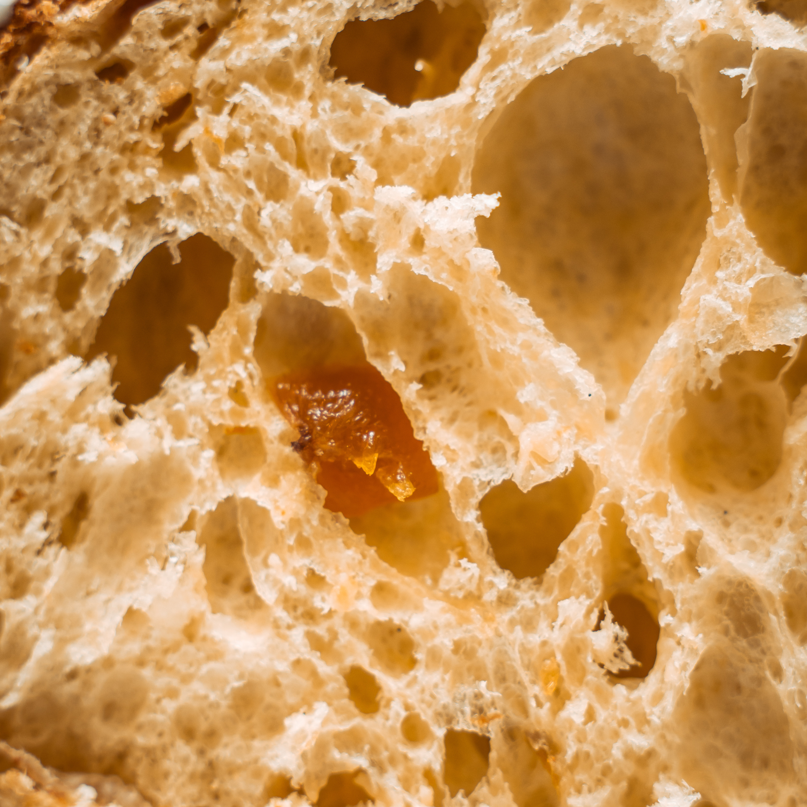 Panettone Artigianale con Albicocca e Pellecchiella del Vesuvio